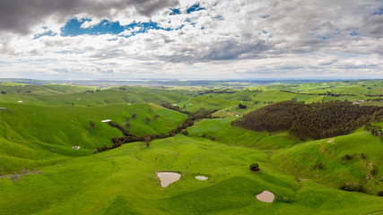Strzelecki Ranges Landscape