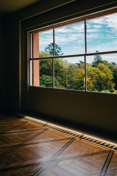WINDOW FOREST