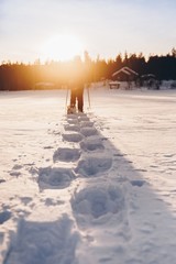 Fototapety na wymiar - Fototapeta24.pl