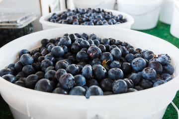 Fresh Blueberries at a Produce Stand