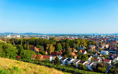 Vineyards on Hill and cityscape of Maribor Slovenia