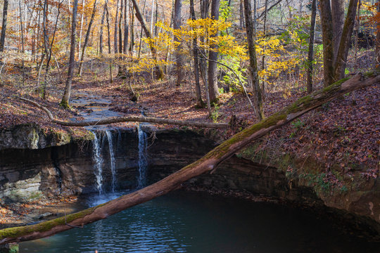 Waterfall in the fall forest © debra