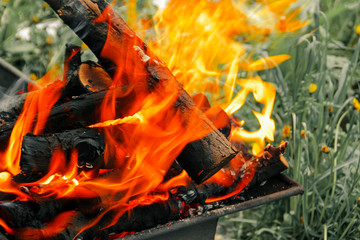 Fire