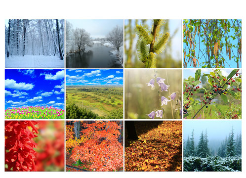 Blank with twelve colored images of nature for calendar
