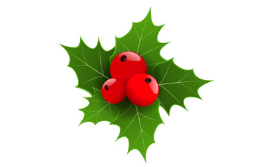 Realistic 3d Christmas berries and green leaf. Vector illustration.