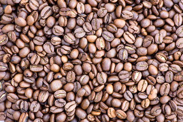 Coffee grains in the bottom of the image on a gently light background
