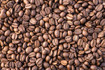 Obraz premium Coffee grains in the bottom of the image on a gently light background