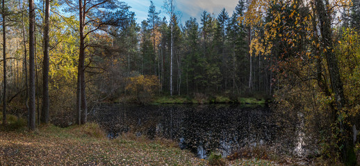 lake in autumn forest