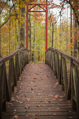 Suspension bridge in the woods in the fall