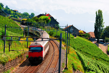Running train Vineyard Terraces hiking trail Switzerland