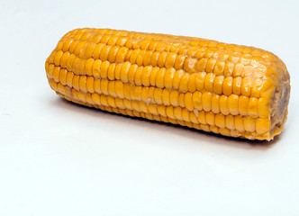 Corn cob surrounded by white background