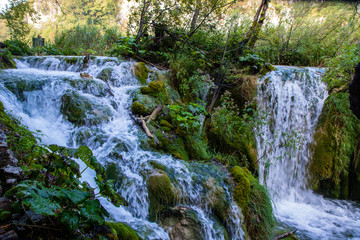 waterfalls in the green
