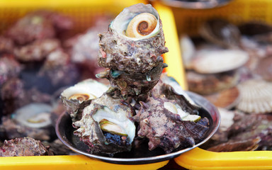 Sale of Fresh turban shell in Busan
