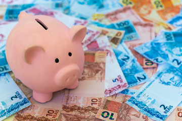 Piggy bank surrounded by real notes