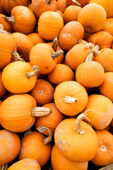 Pumkins and Gourds Piled up in a Traditional Fall Produce Display