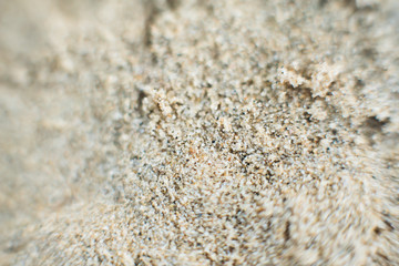 Macro wet sand on the beach in summer. Background. Defocused
