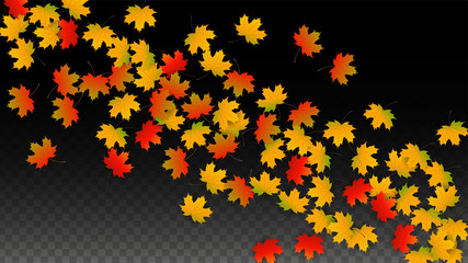 September Vector Background with Golden Falling Leaves. Autumn Illustration with Maple Red, Orange, Yellow Foliage. Isolated Leaf on Transparent Background. Bright Swirl. Suitable for Posters.