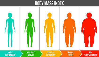 Creative vector illustration of bmi, body mass index infographic chart with silhouettes and scale isolated on transparent background. Art design health life template. Abstract concept graphic element - obrazy, fototapety, plakaty