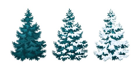 Realistic vector illustration of fir tree in snow on white background. Blue fluffy pine, isolated on white background 2.2