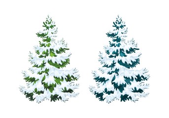 Realistic vector illustration of fir tree in snow on white background. Green and blue fluffy pines, isolated on white background 2.2