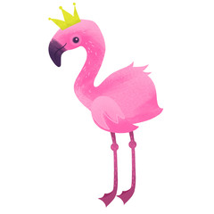 Illustration with a bird flamingos. Beautiful pink bird. Tropical flamingo.