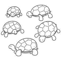 vector set of turtle