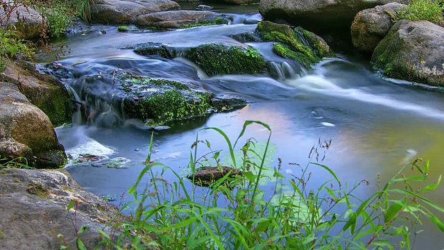 forest stream time lapse, Stream Water and Green Mossy Rocks, mountain stream time lapse 4K, Moss On The Rocks Forest Stream, Forest river, Water runs quickly through the rapids