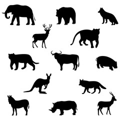 animals, domestic and wild