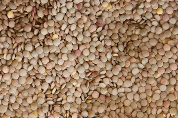 Dry brown beige lentils close up background