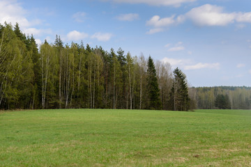 Fototapeta premium Forest and medow landscape