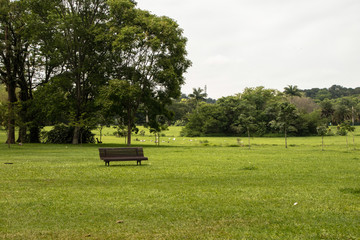 Banco do parque