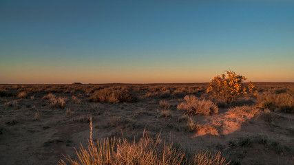 Sunset on the desert, Winslow, Arizona