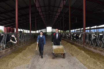 couple farmer with cows