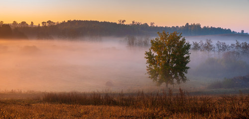 Fototapeta na wymiar beautiful, misty sunrise over autumnal meadows and fields,beautiful play of light in the fog