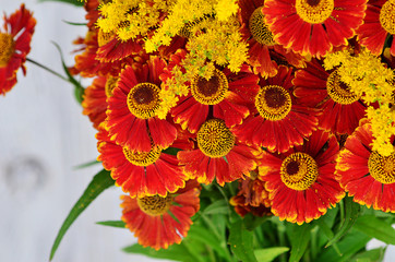 Bouquet of red and yellow flowers. Beautiful combination of colors. Mimosa. Bouquet of wild flowers.