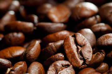 Roasted coffee beans