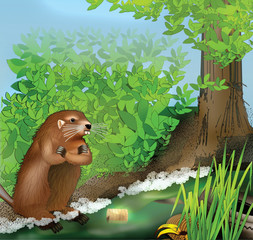 Beaver angry about pollution © Julia