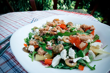 Organic vegetable salad with canned tuna on white plate.