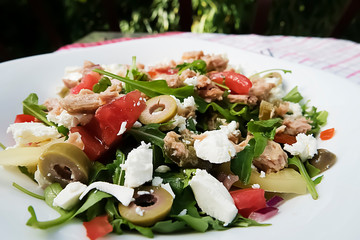 Organic vegetable salad with canned tuna on white plate.