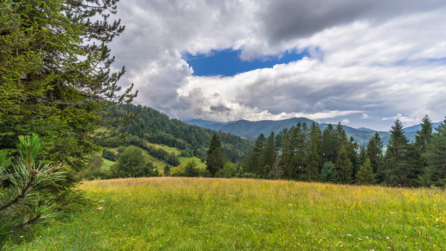 Landscape of serbian wild nature in summer day: meadow, spruce trees, hills overgrown by forest, clouds on sky
