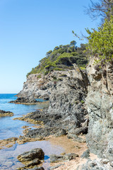 Fototapeta na wymiar Seacoast in summer of the island of Porquerolles