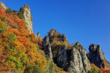 錦秋の妙義山