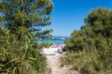 Seacoast in summer of the island of Porquerolles