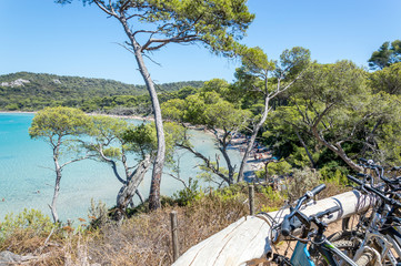 Seacoast in summer of the island of Porquerolles