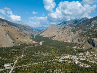 Fototapeta premium Aerial view of olive trees in Albania