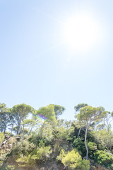 Obraz premium Seacoast in summer of the island of Porquerolles