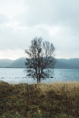 Nature in North Norway