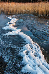 Frozen lakeshore in winter sunlight