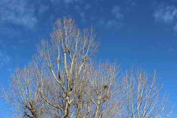 North Sea landscape 3.