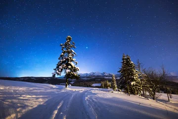 Foto auf Acrylglas Winternachtlandschaft © alexugalek
